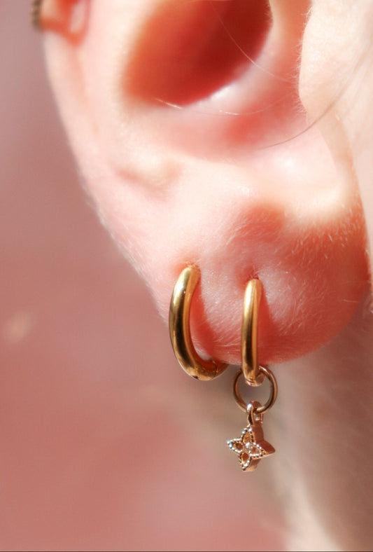 Boucles d'oreilles Diane